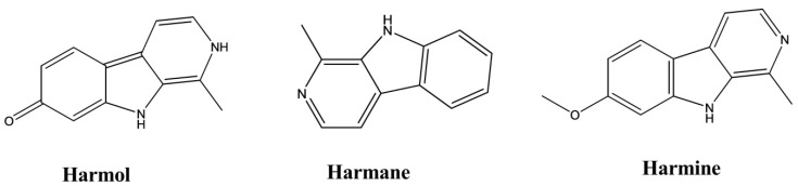 Figure 13