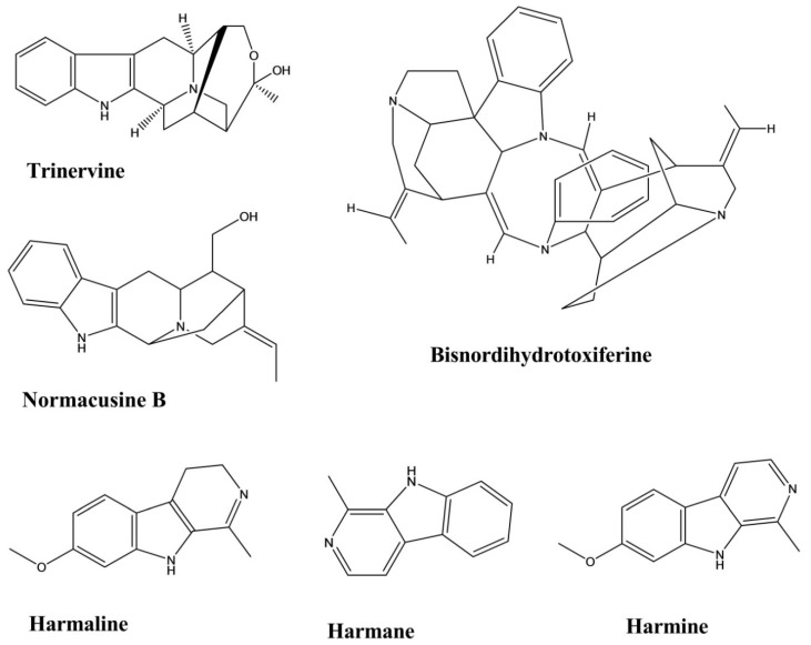 Figure 15