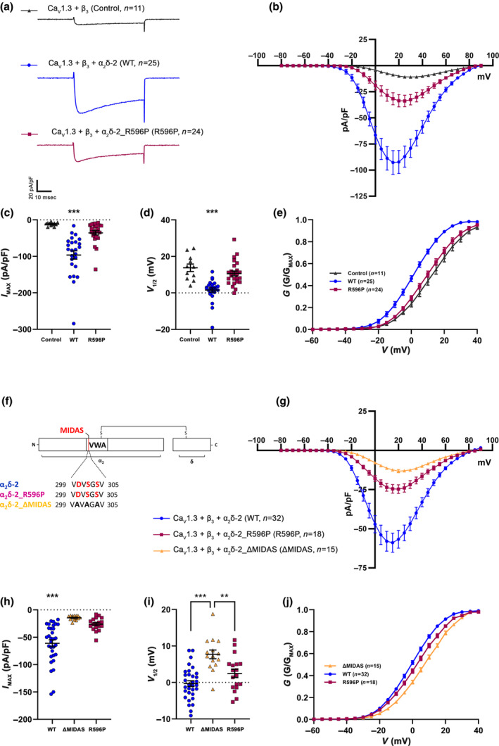 FIGURE 3