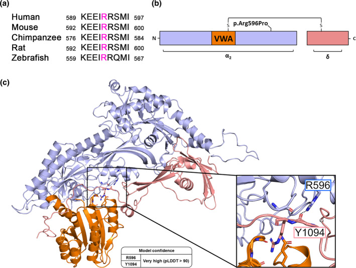 FIGURE 1