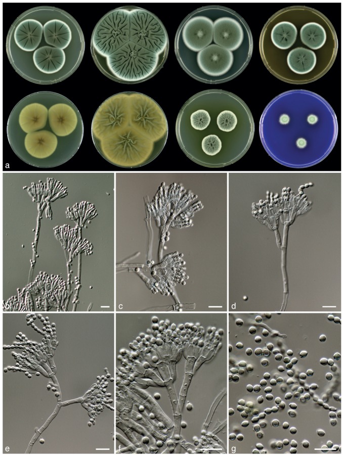 Fig. 10