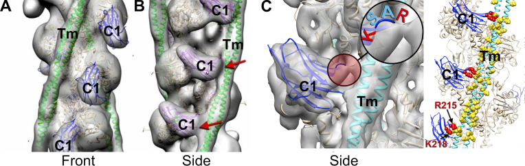 Figure 3.