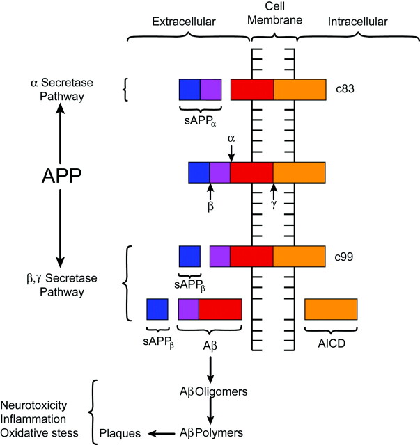 Fig 2.