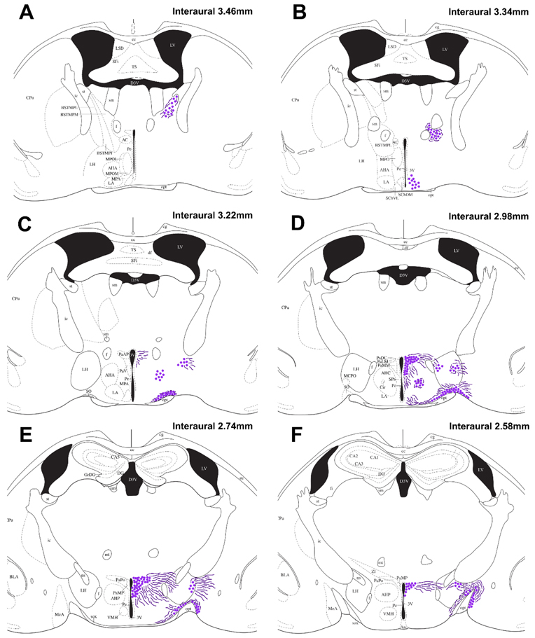 Fig. 2 –