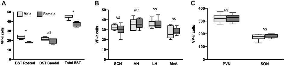 Fig. 4 –