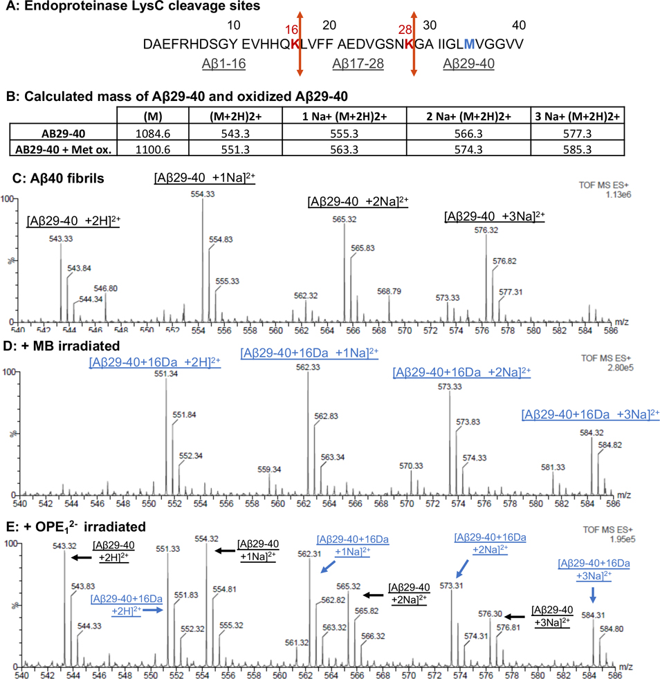 Figure 5: