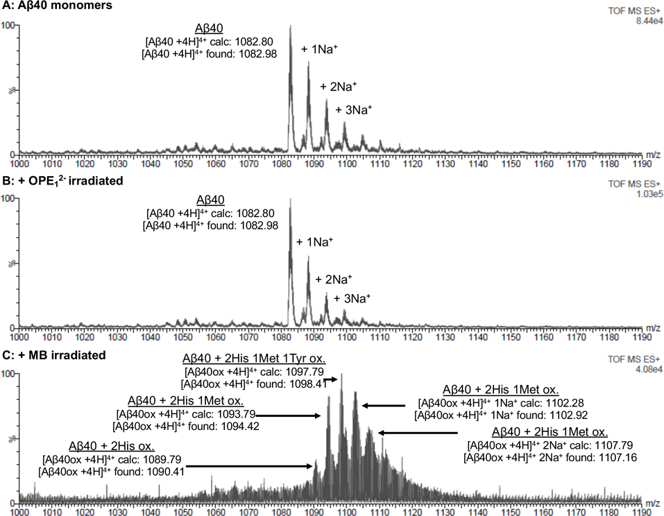 Figure 4: