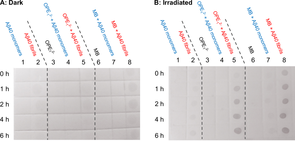 Figure 3: