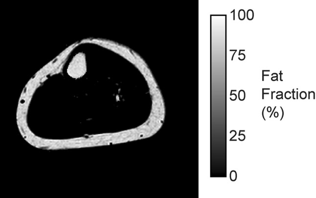 Fig. 4