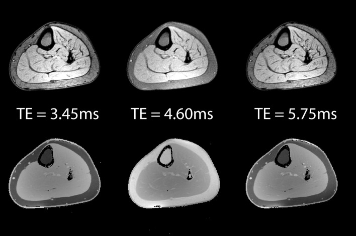 Fig. 2