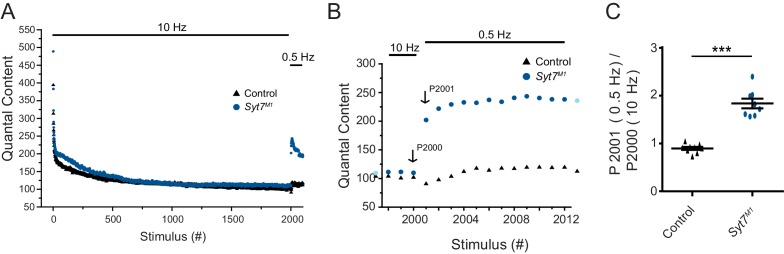 Figure 10—figure supplement 1.