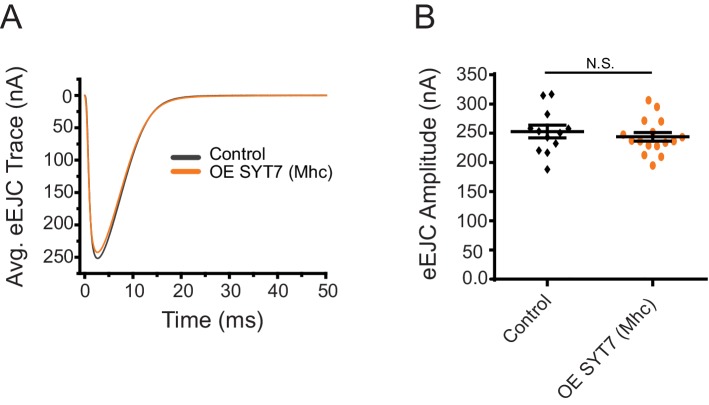 Figure 3—figure supplement 1.