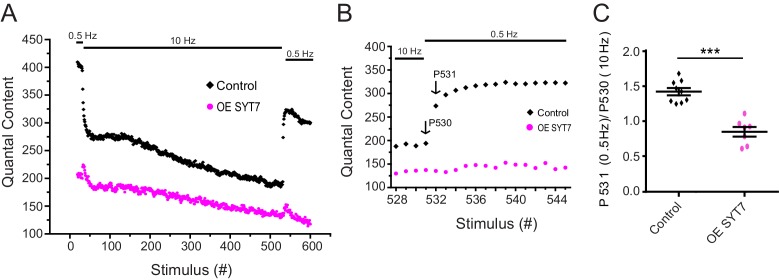 Figure 10—figure supplement 2.