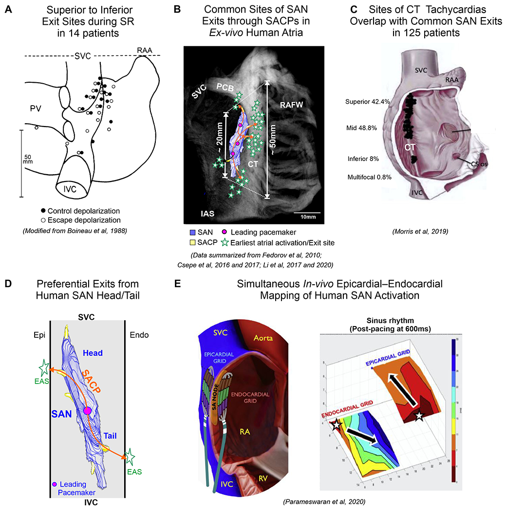 Figure 5: