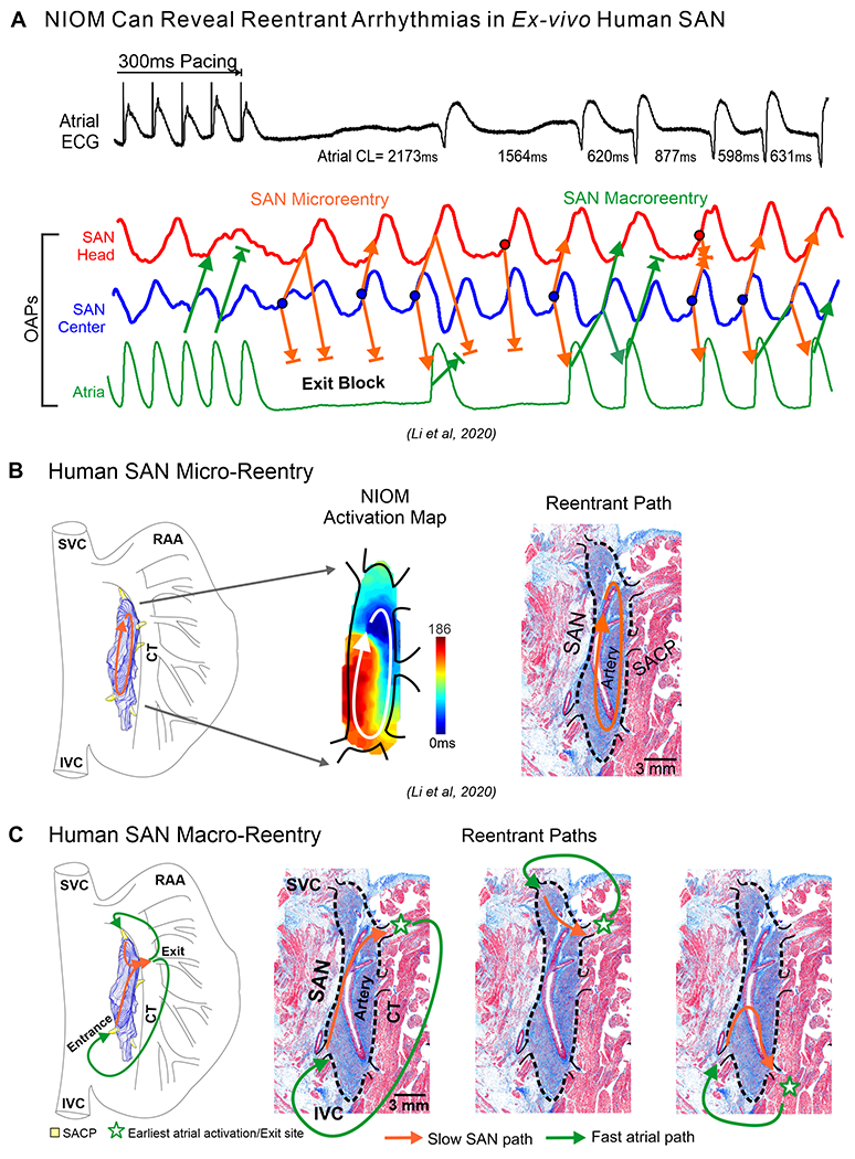 Figure 6: