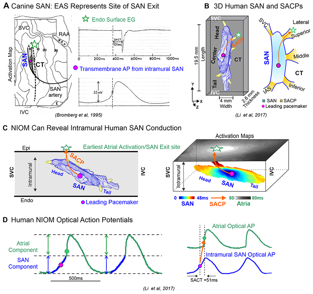 Figure 2: