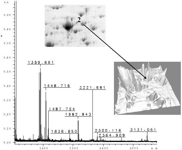 Fig. 5