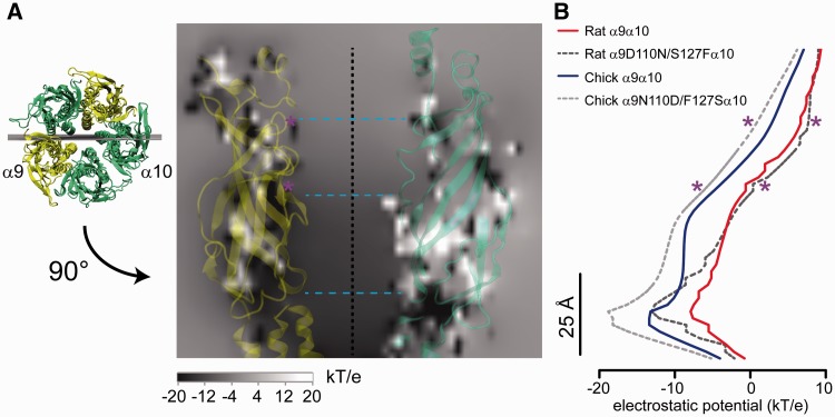 Fig. 9.