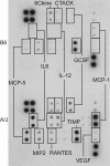 FIG. 6.