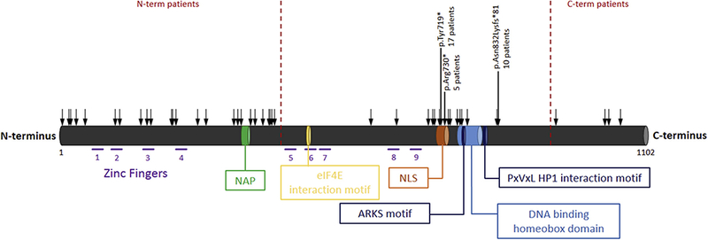 Figure 1.