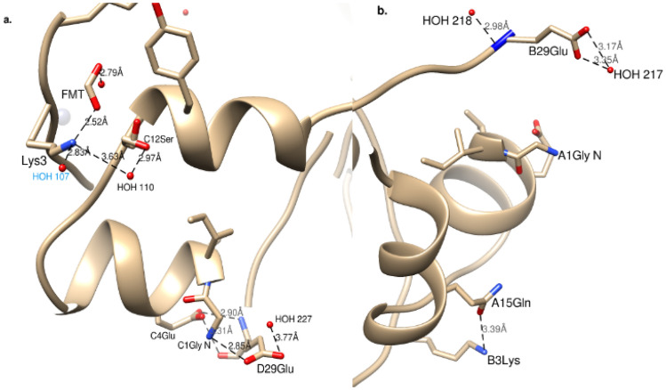 Analysis of insulin glulisine at the molecular level by X-ray ...