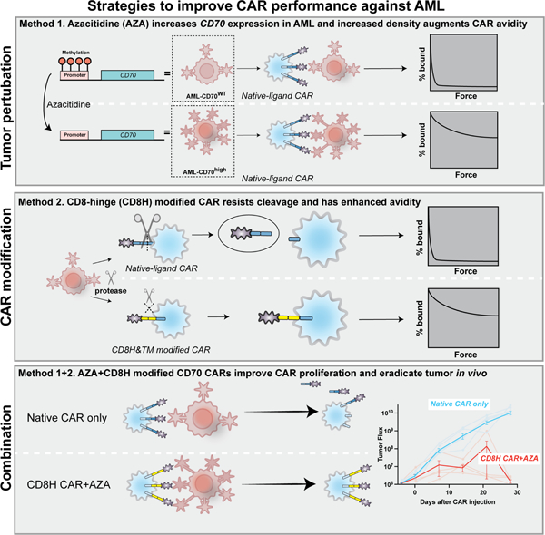 graphic file with name nihms-1796899-f0001.jpg