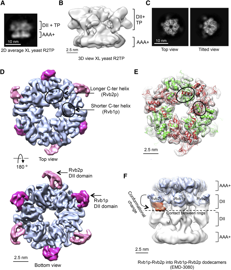 Figure 2