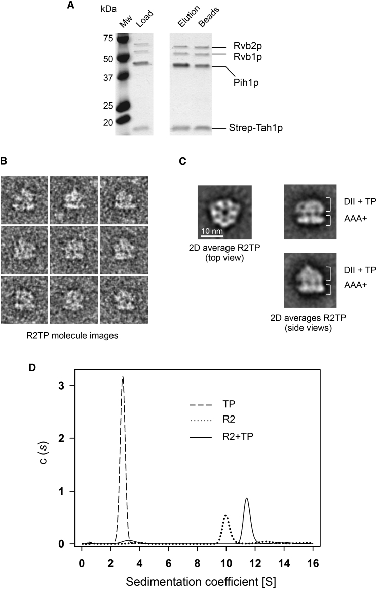 Figure 1