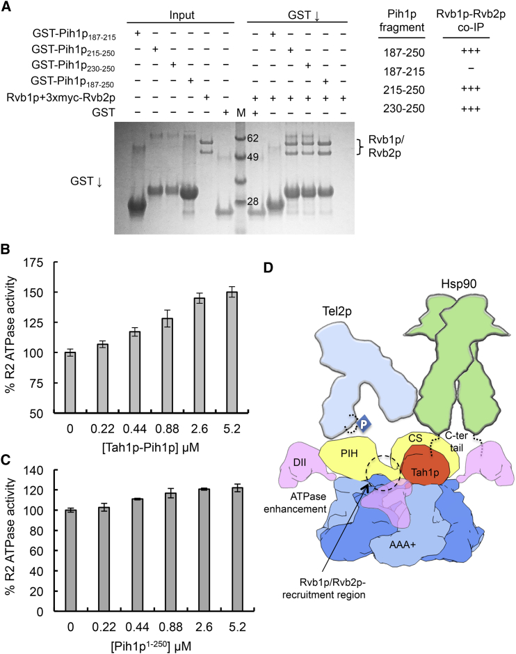 Figure 4