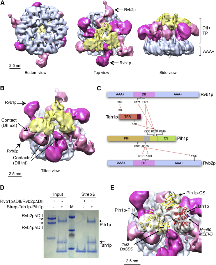 Figure 3