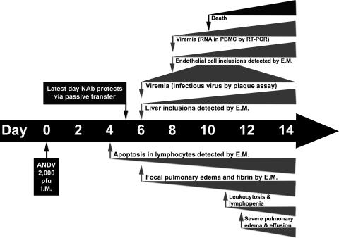 FIG. 8.