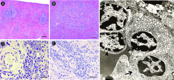 FIG. 6.