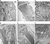 Fig. 4