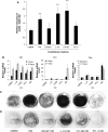 Fig. 2