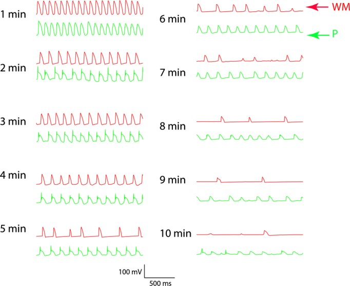 Figure 11.