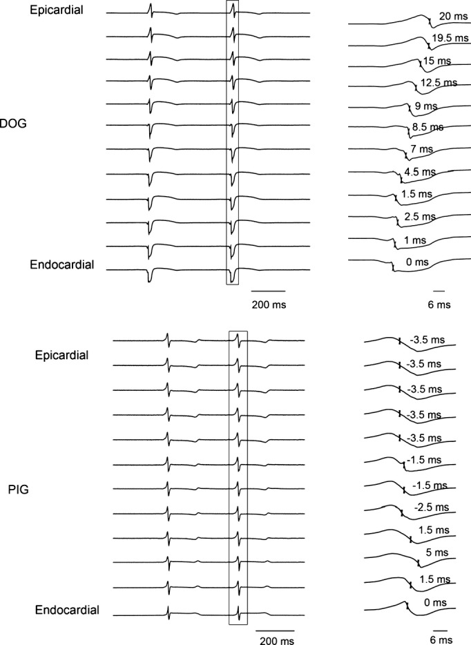 Figure 5.