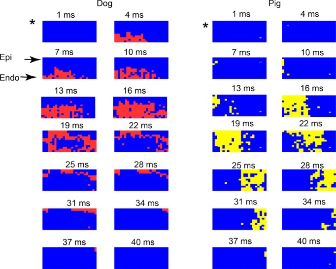 Figure 6.