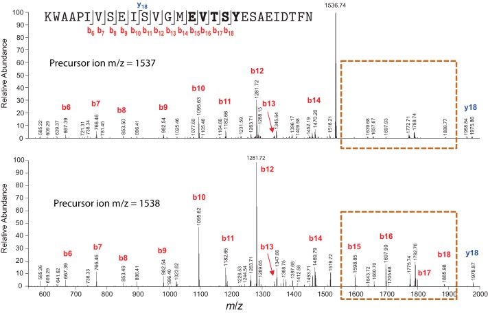 FIGURE 4.