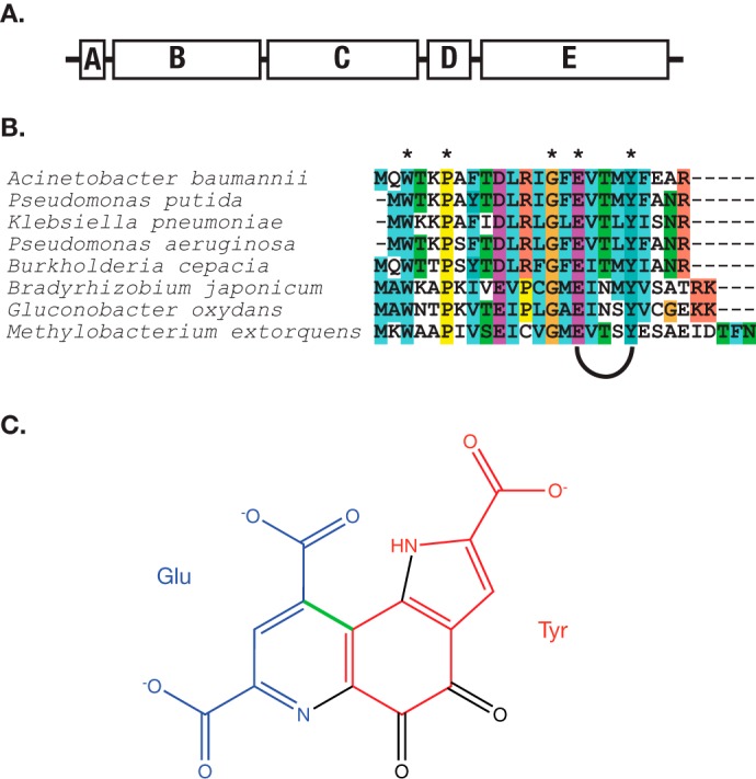 FIGURE 1.