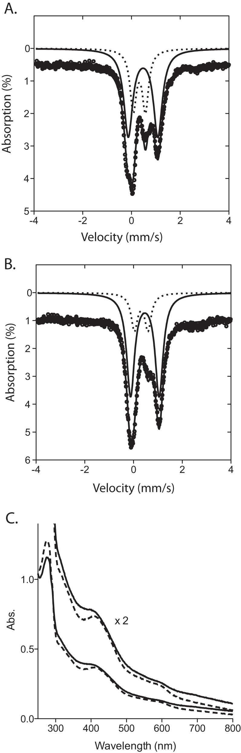 FIGURE 2.