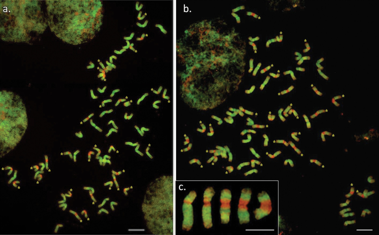 Figure 2.