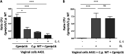 FIG 6