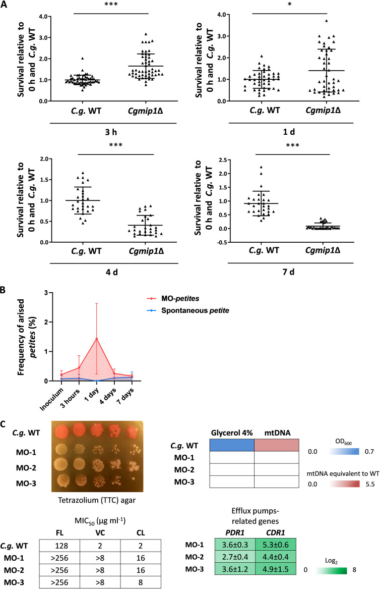 FIG 3