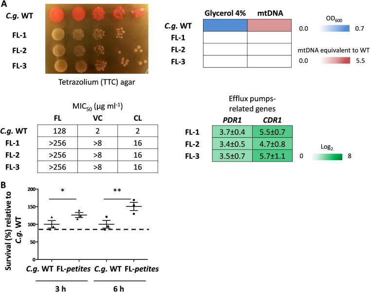 FIG 4