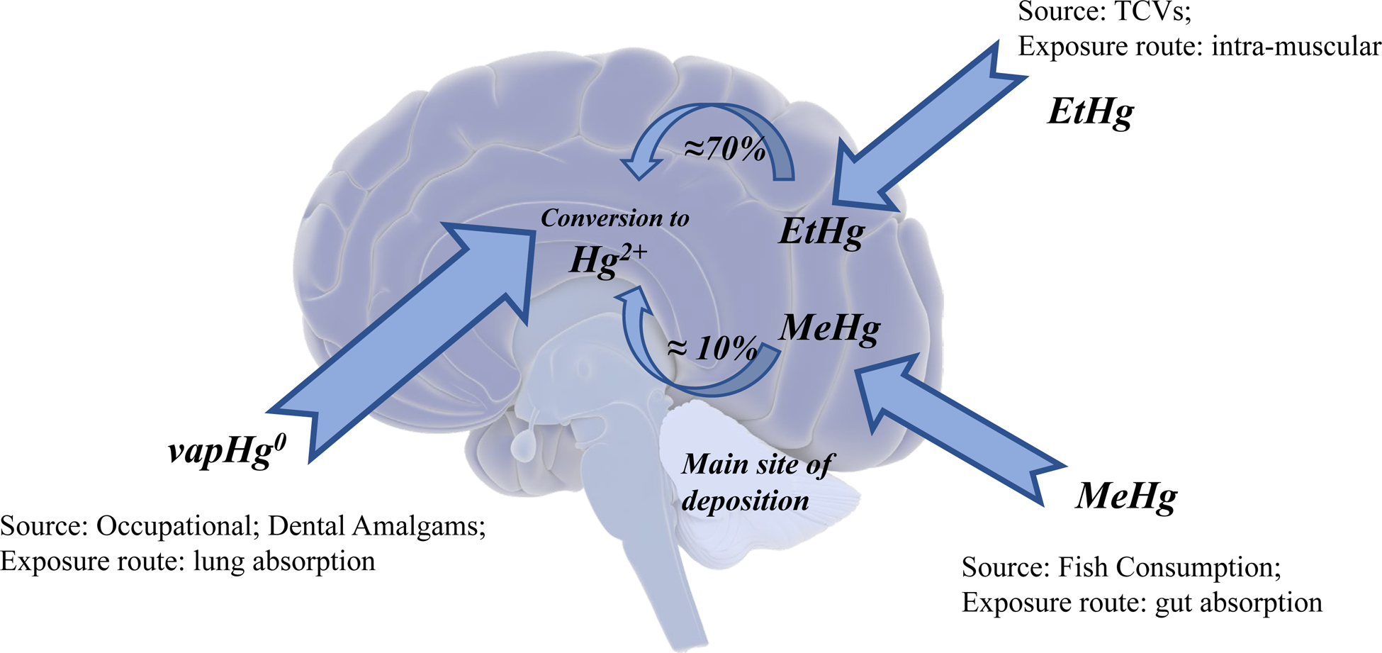Figure 1-