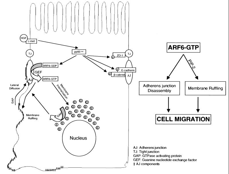 graphic file with name cde474f11.jpg