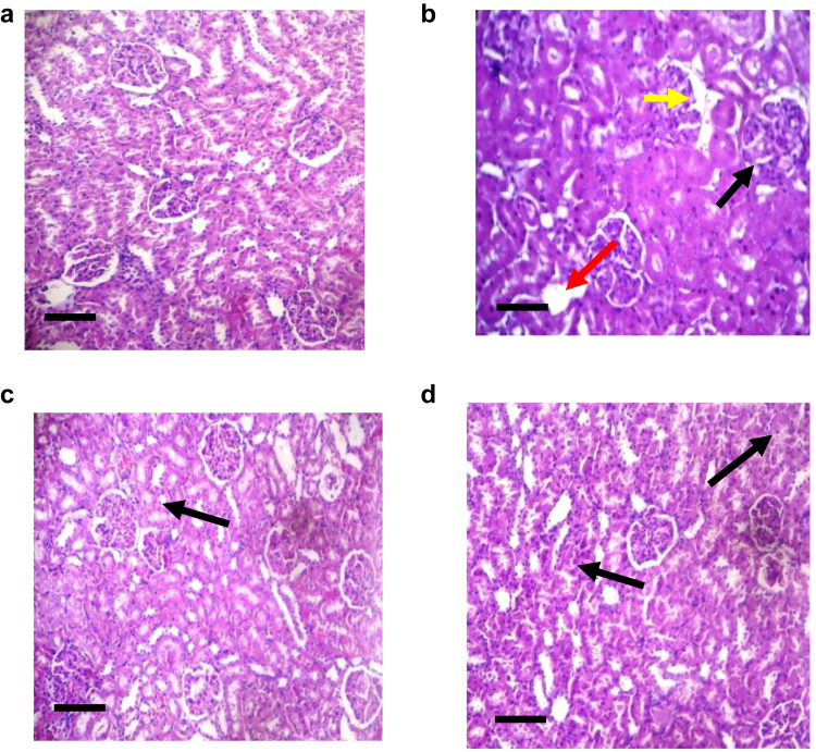 Figure 6