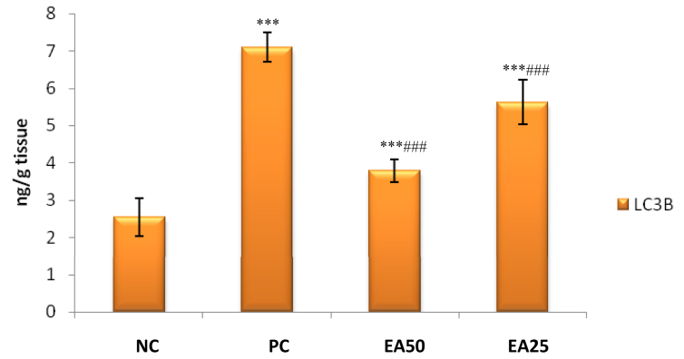 Figure 5