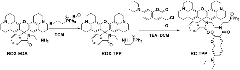 Scheme 1