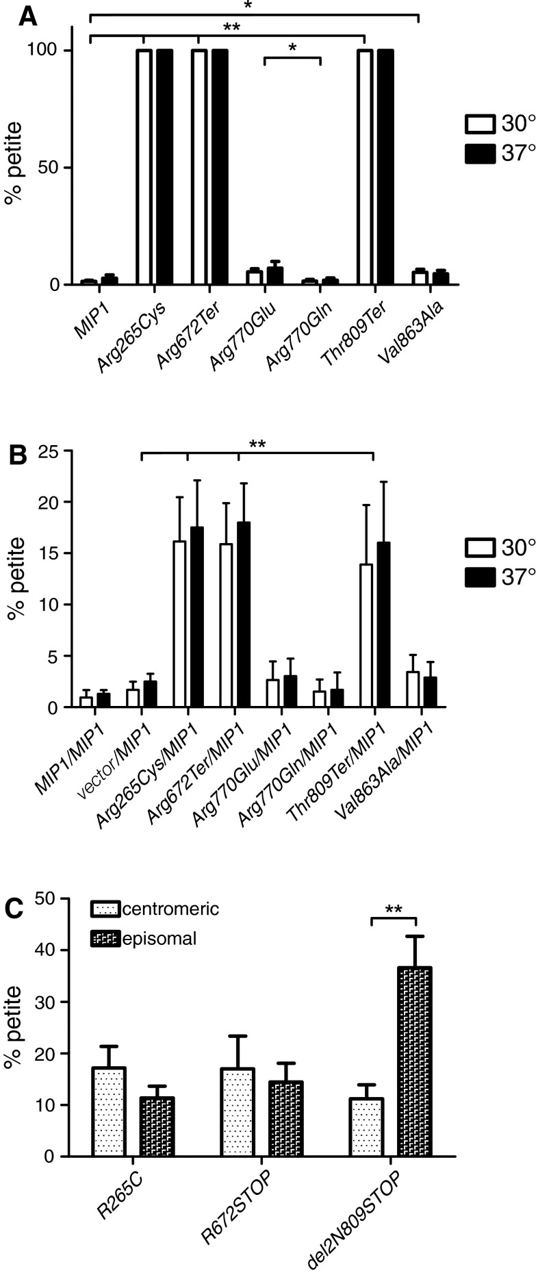 Fig. 4